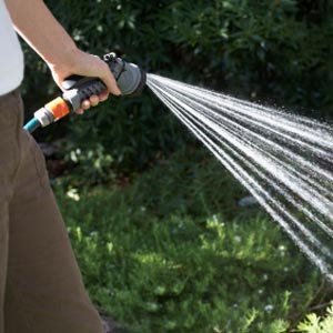 Gardening Accessory: Garden Hose Basics