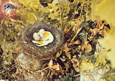 Egg - Omlet - Bullseye : Global Warming Effect 1 Egg - Omlet - Bullseye : Global Warming Effect 1