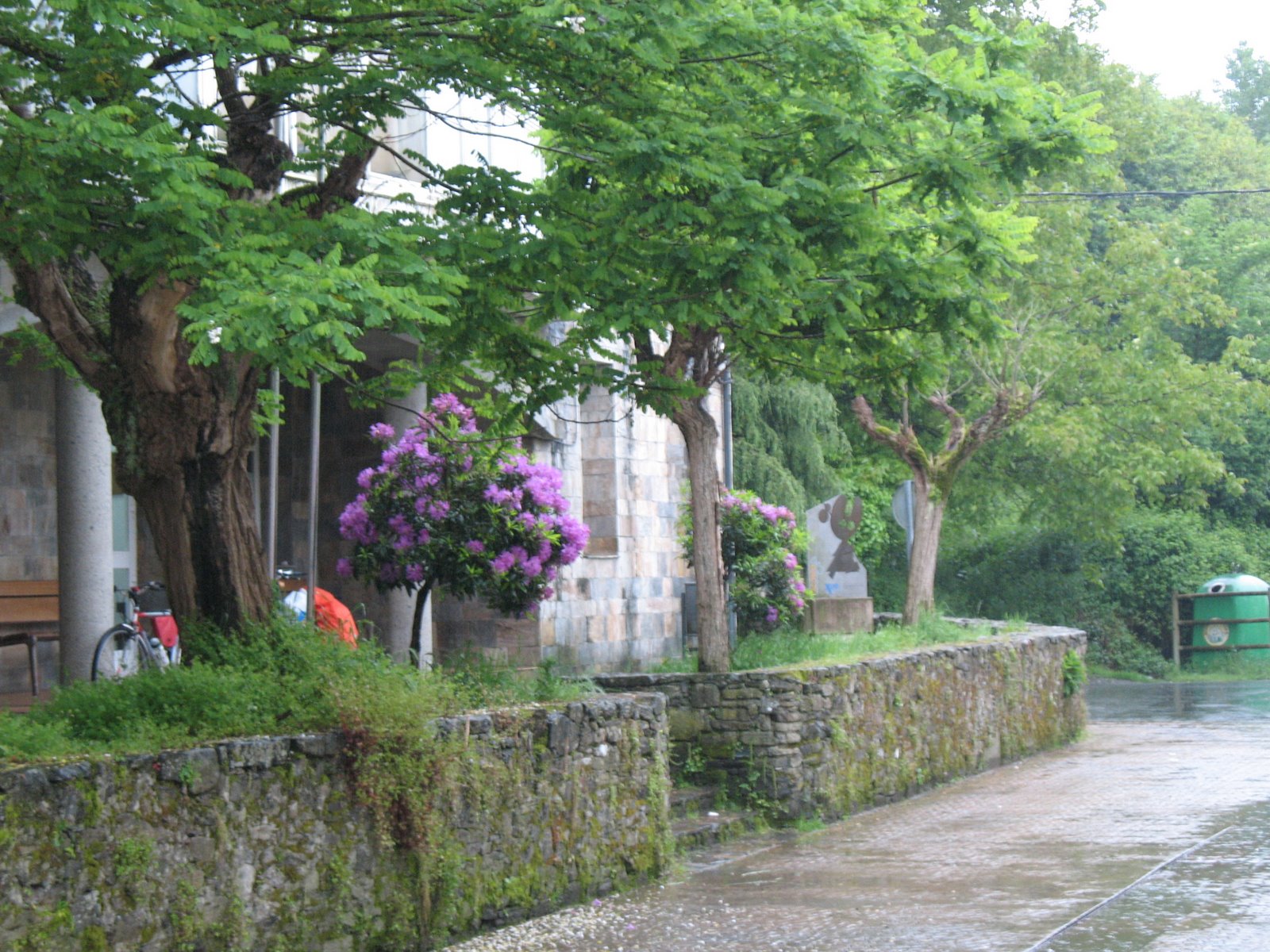 [IMG_5504.JPG]
