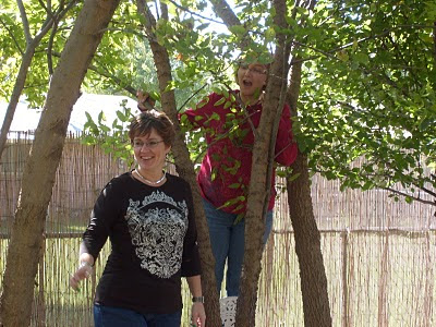 My sister, Kim, points at something off camera laughing while I am standing in a tree.