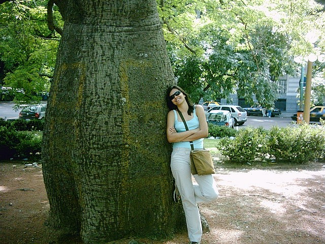 [PIC03955.JPG]