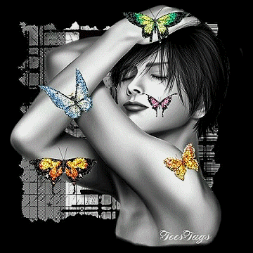 [butterfly24.gif]