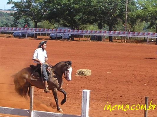 [ZCAVALO.bmp]