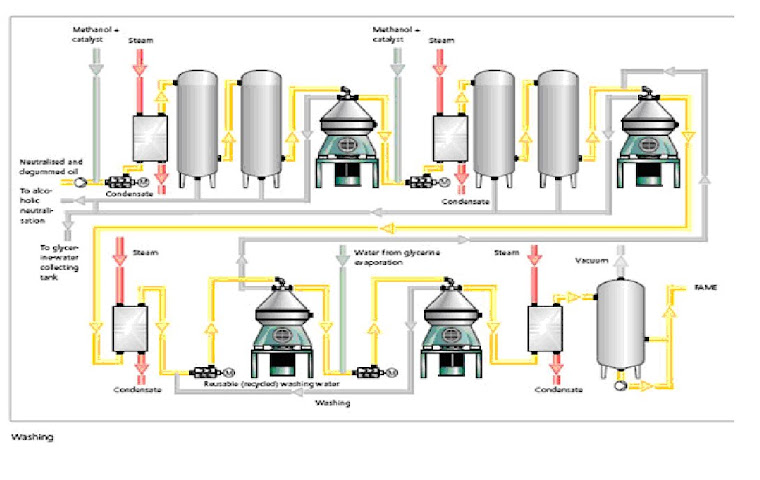 Produção de Biodiesel: