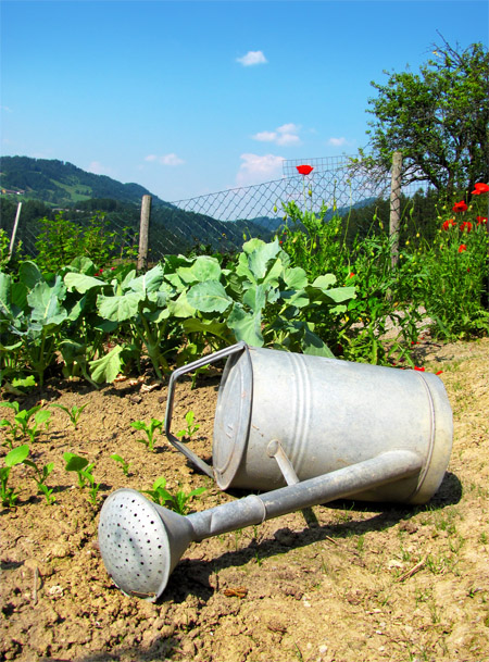 Teotwawki Blog Review Food Production Systems For A Backyard Or