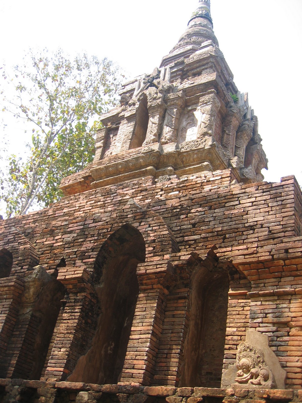 [IMG_0105.JPG]