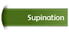 PSection-Supination