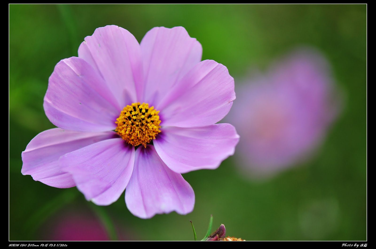 [DSC_0160.JPG]