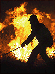 [incendios.gif]