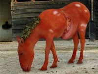 caballo-tomate