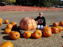 Trip to the Pumpkin Patch
