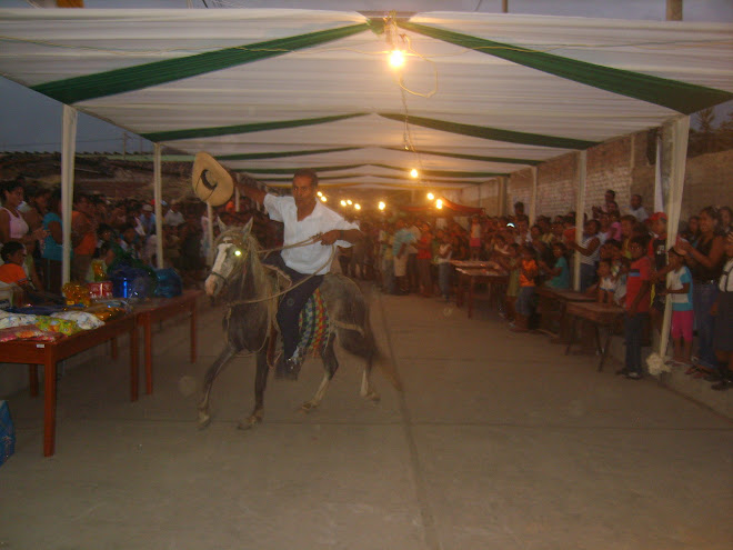 CABALLOS DE PASO