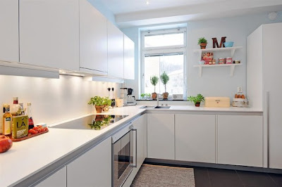 kitchen contemporary apartment