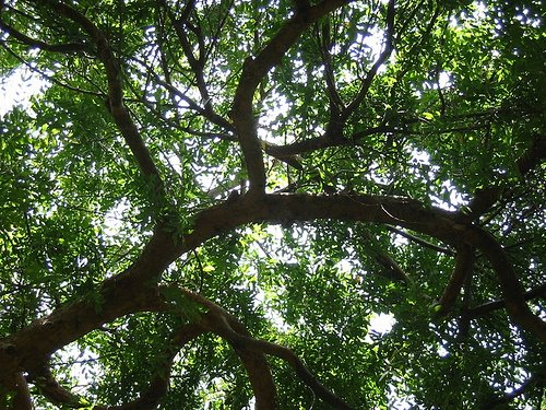 [149015328_518fad6008.jpg]