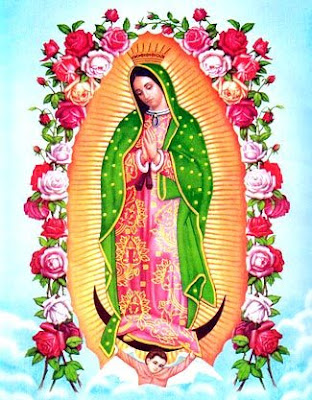 La Ultima Noticia La Virgen De Guadalupe