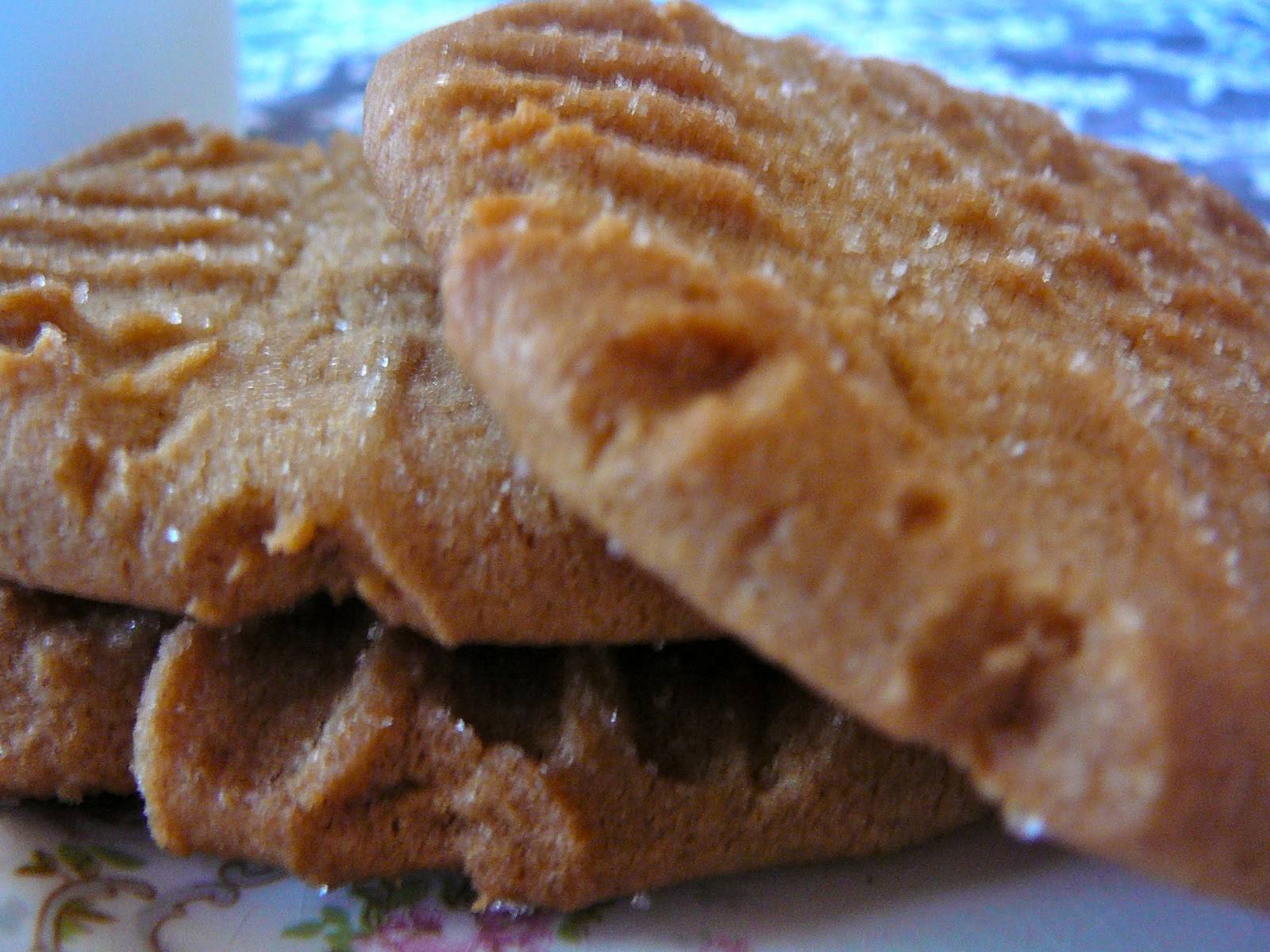 The Hidden Pantry Peanut Butter Criss Cross Cookies