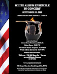 Concert on the Green Poster