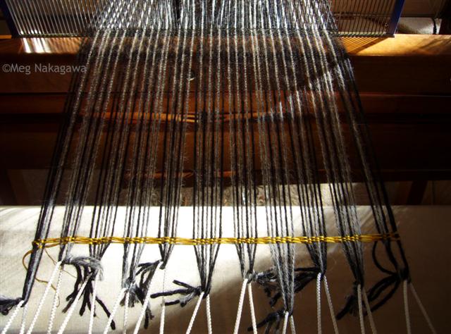 [P1220530+(Small).JPG]