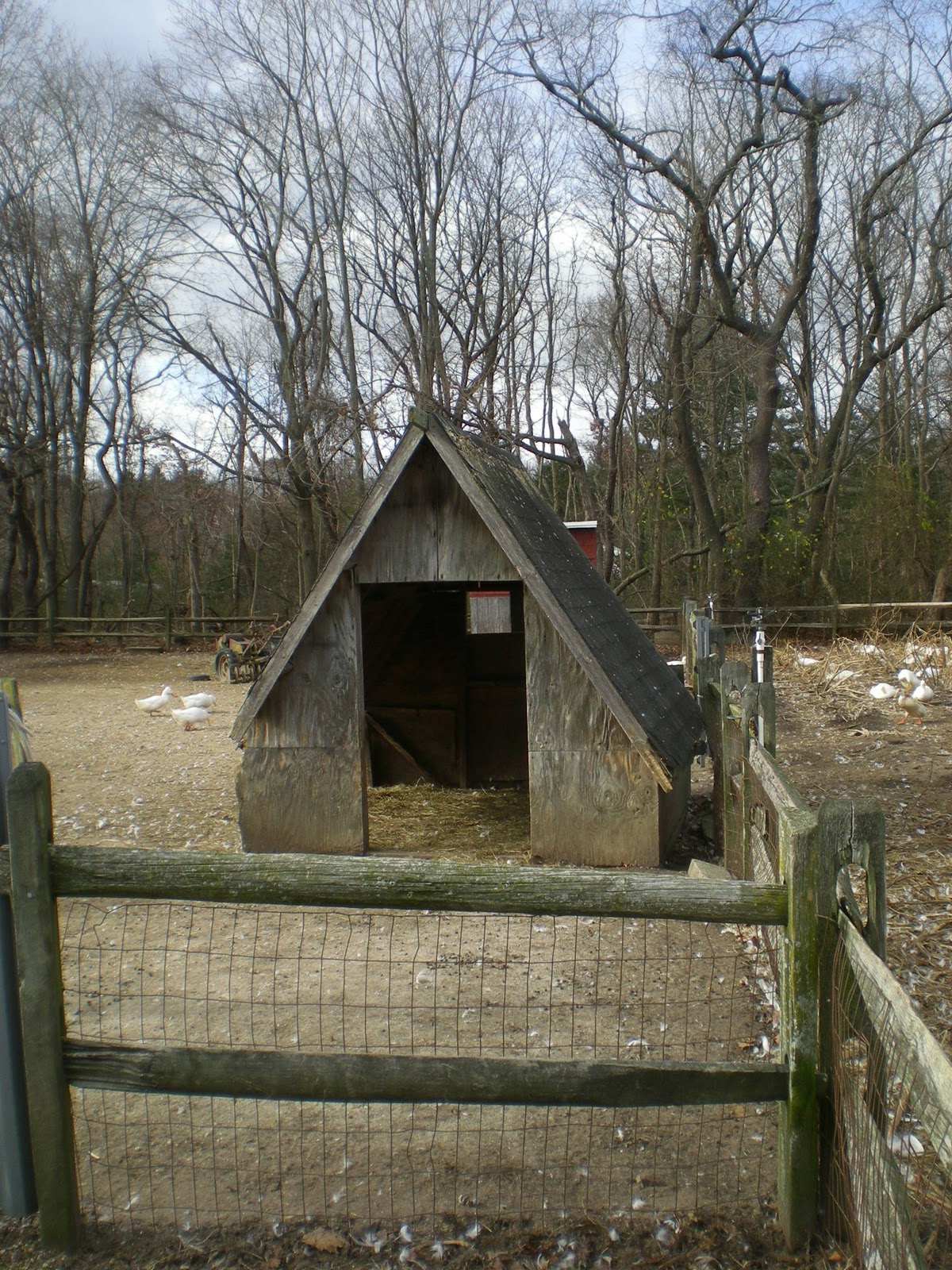 Jarvis House Makinajian's Poultry Farm and Country Store