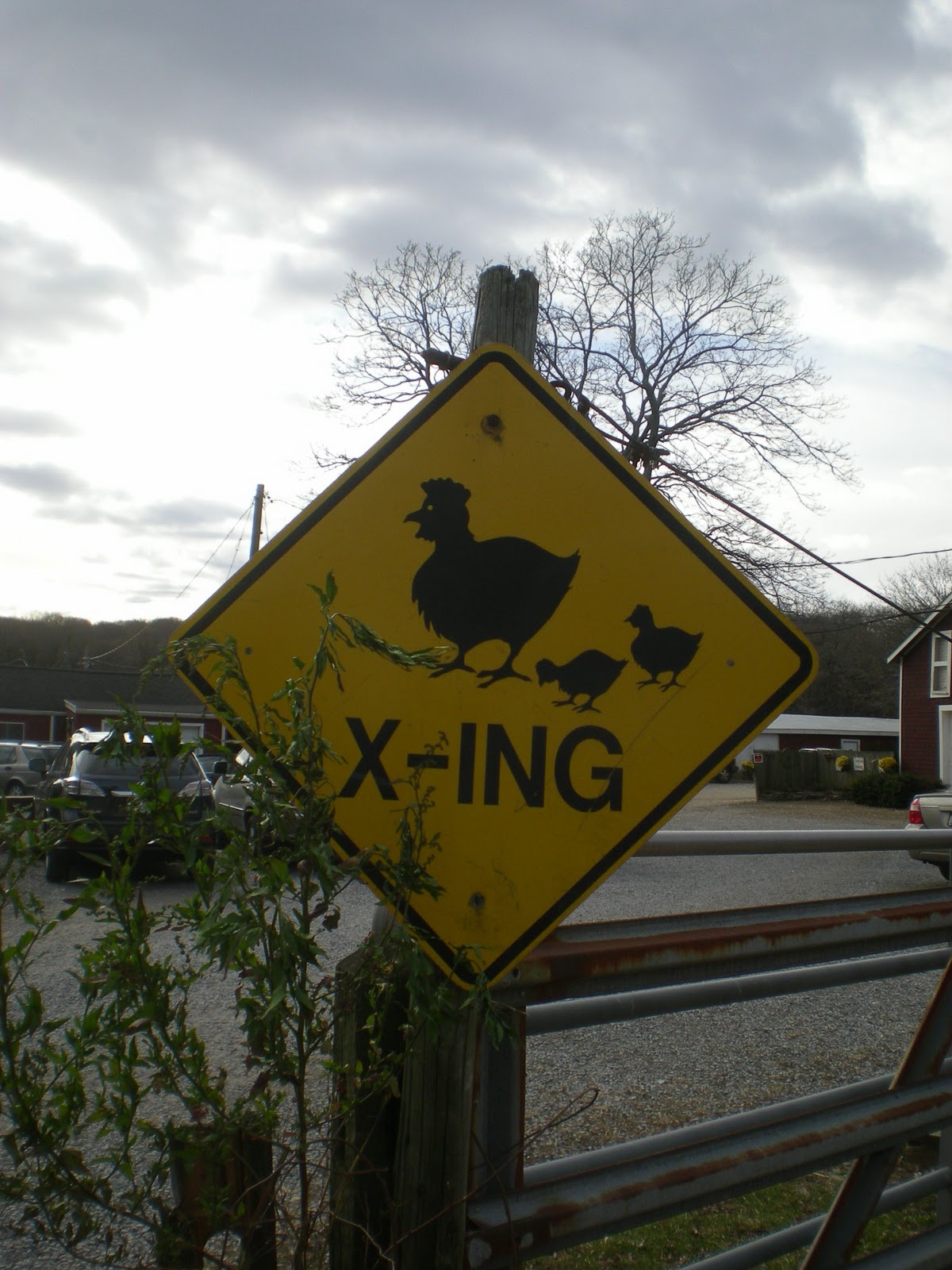 Jarvis House Makinajian's Poultry Farm and Country Store
