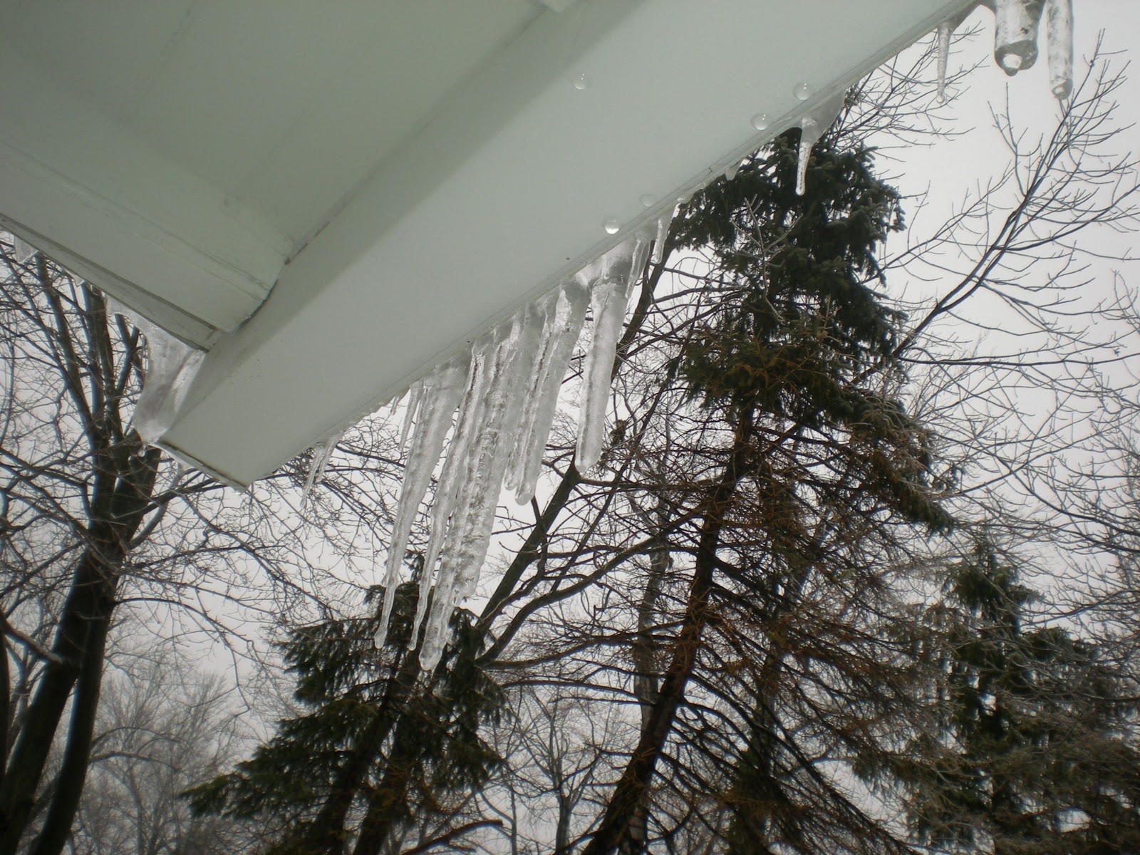 ice jarvis neither collapsing worried roofs never had