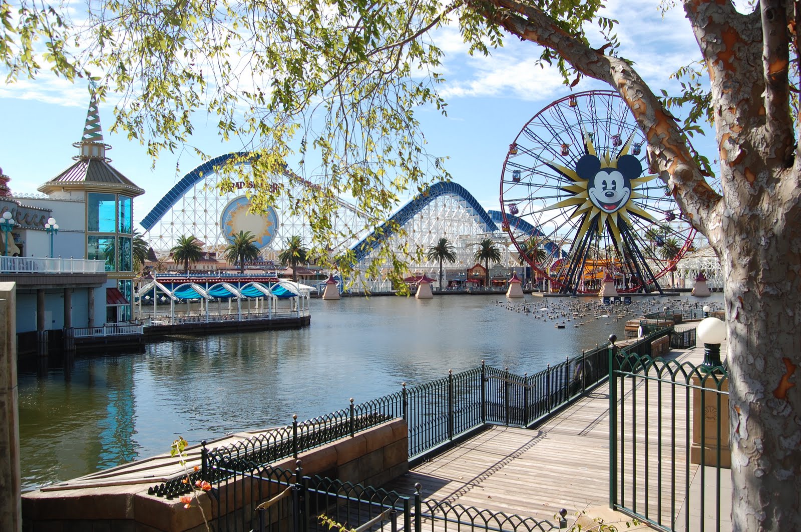 [Image: DSC_0090.JPG]