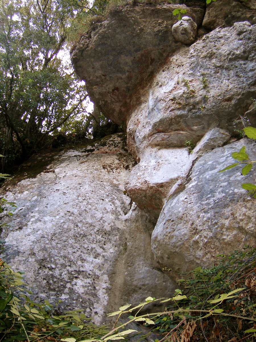 [DSCF1943.JPG]