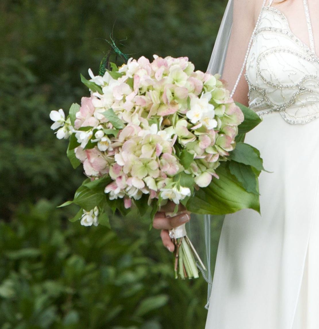 Hydrangea Pics Hydrangea Flower Meaning Is Heartfelt Emotion Or