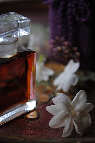 Perfume Shrine: November 2010