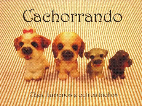 Cachorrando