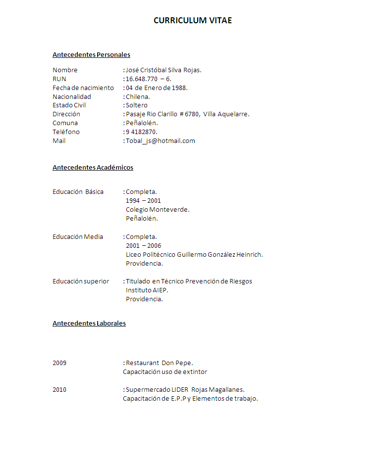 Curriculum vitae aiep image