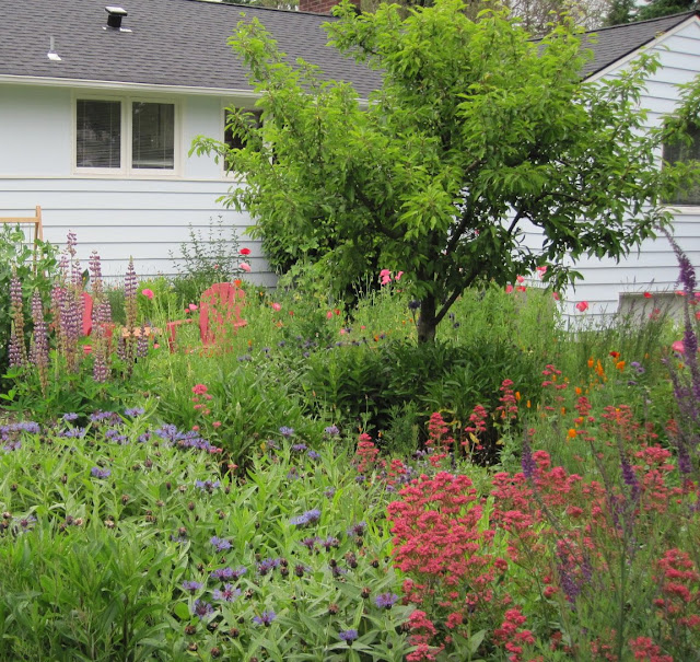 WELL DONE BLOG: June 2010