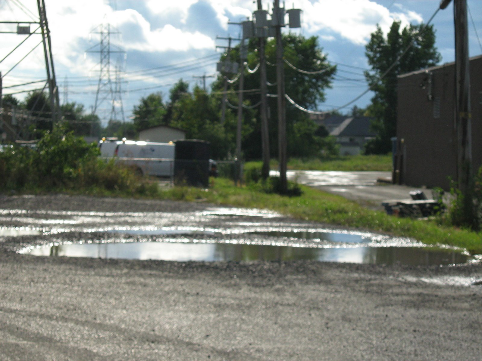 [firstpiocsonnewcamera+004.JPG]