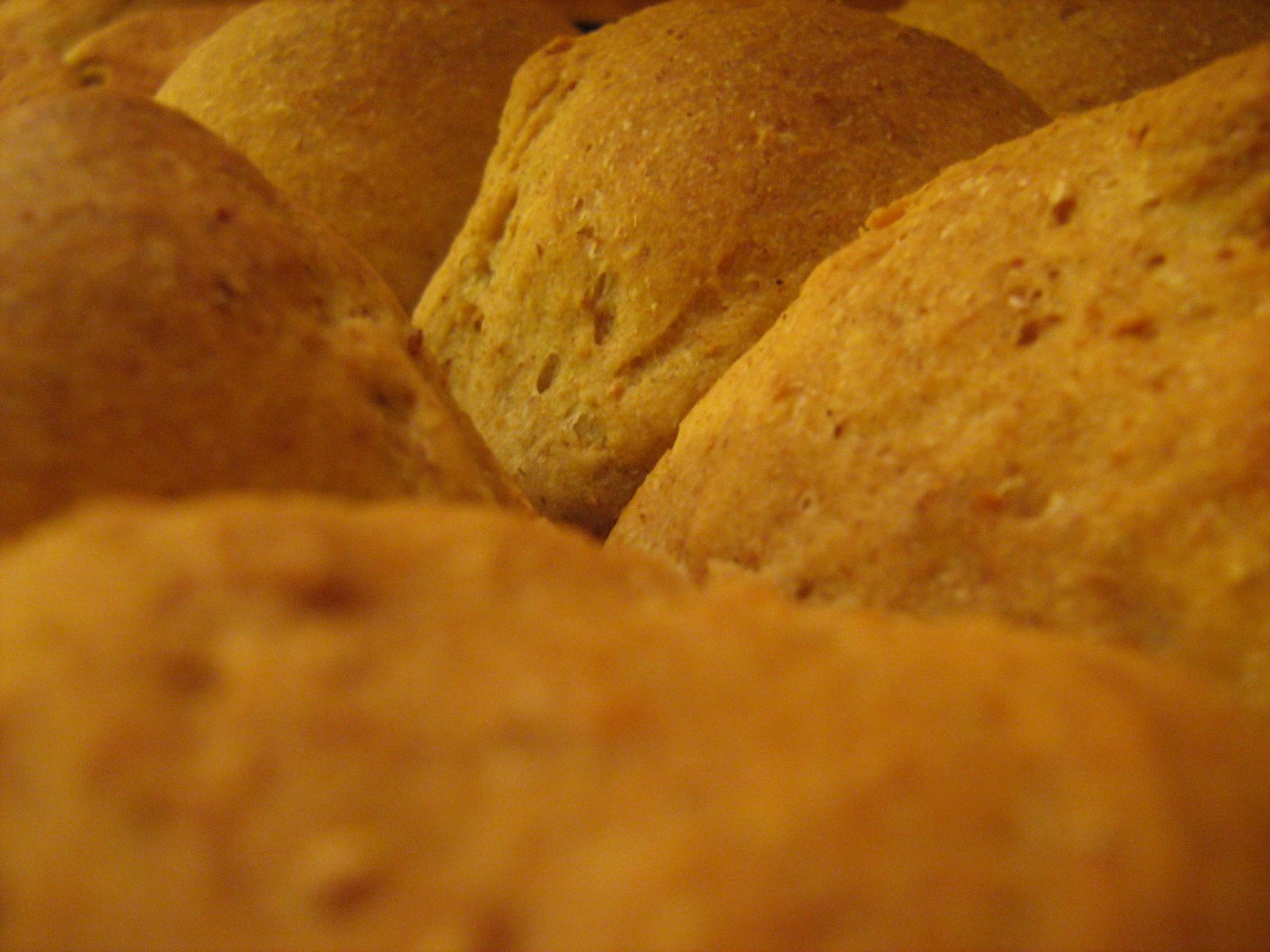 [bread.jpg]
