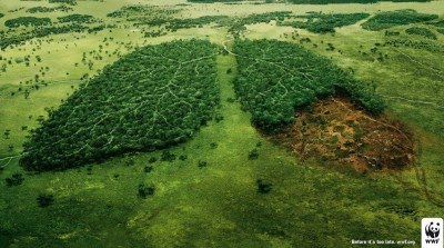 Save Trees & Save Earth