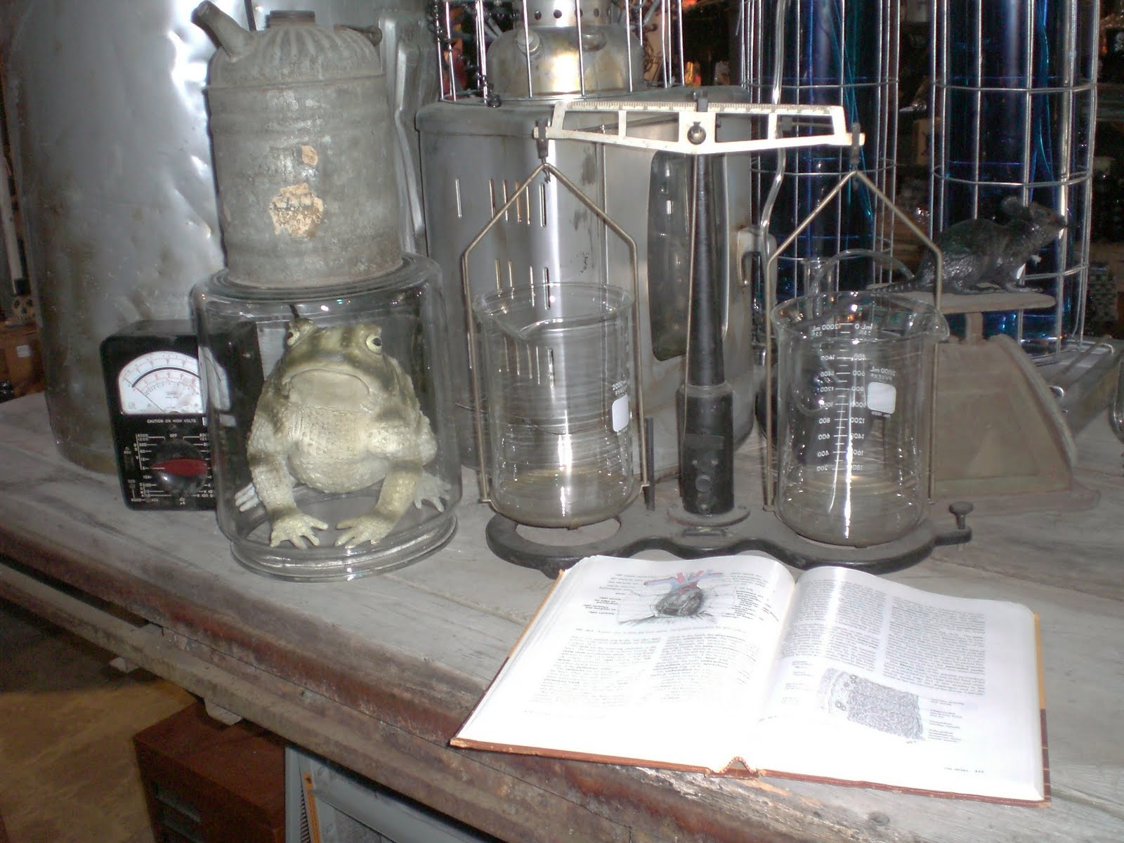 Mad Scientist Laboratory
