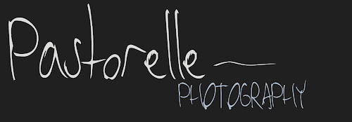 Pastorelle Photography