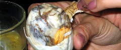 [duckfetus1.jpg]