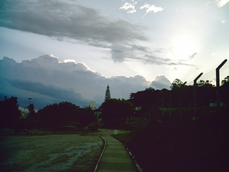 [20080201_tarde.JPG]