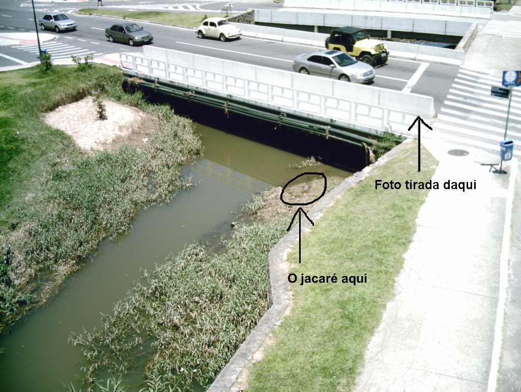 [cenario_jacare.JPG]