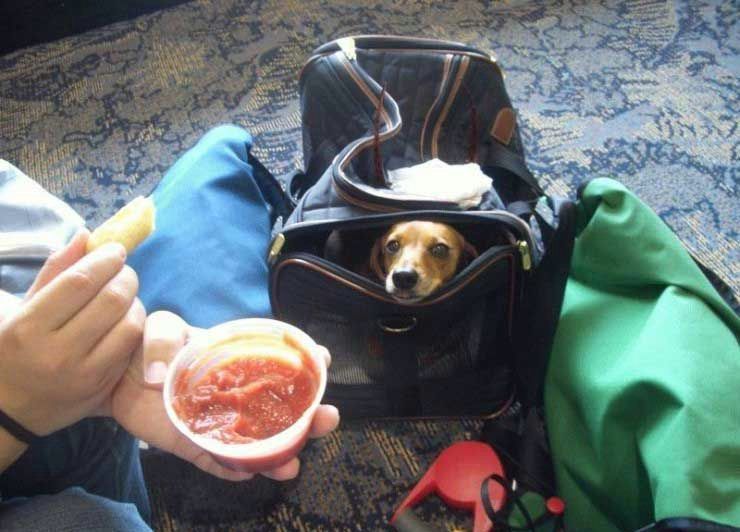 [caes20080412_12.jpg]