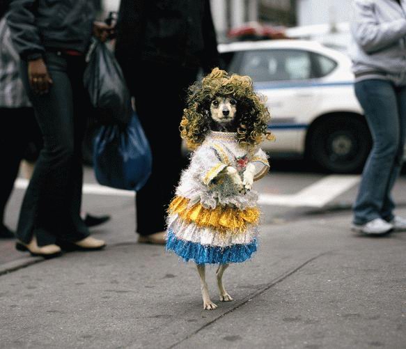 [caes20080420_18.jpg]