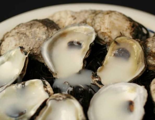 [natural-harvest3.JPG]