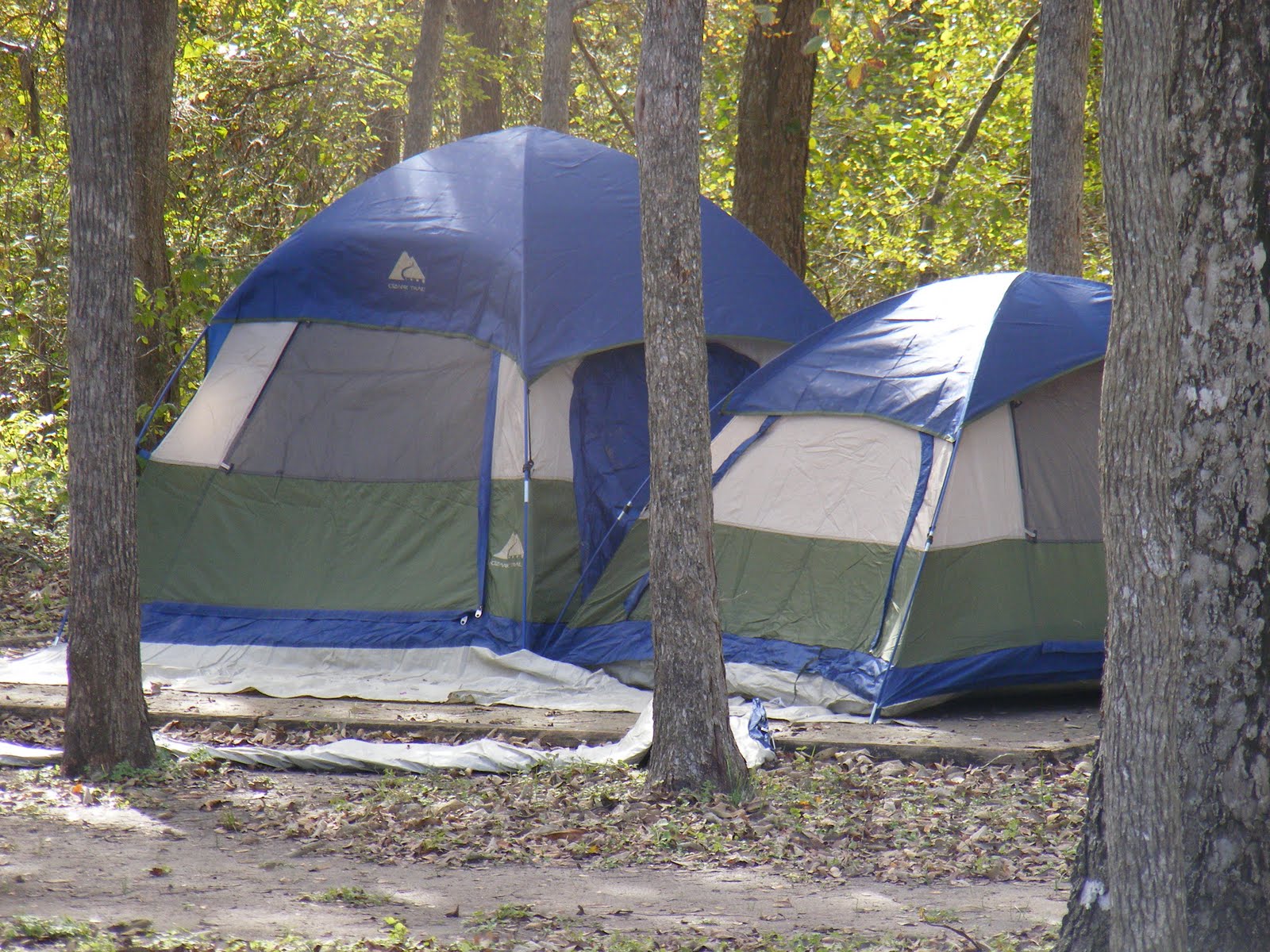 My History Journal Palmetto State Park Camping Trip