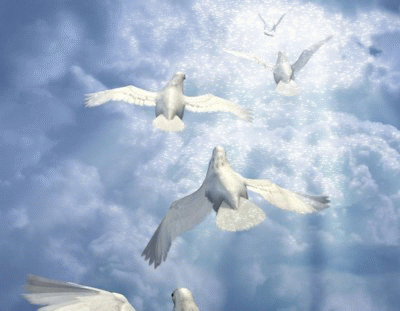 doves-flying-to-light.gif