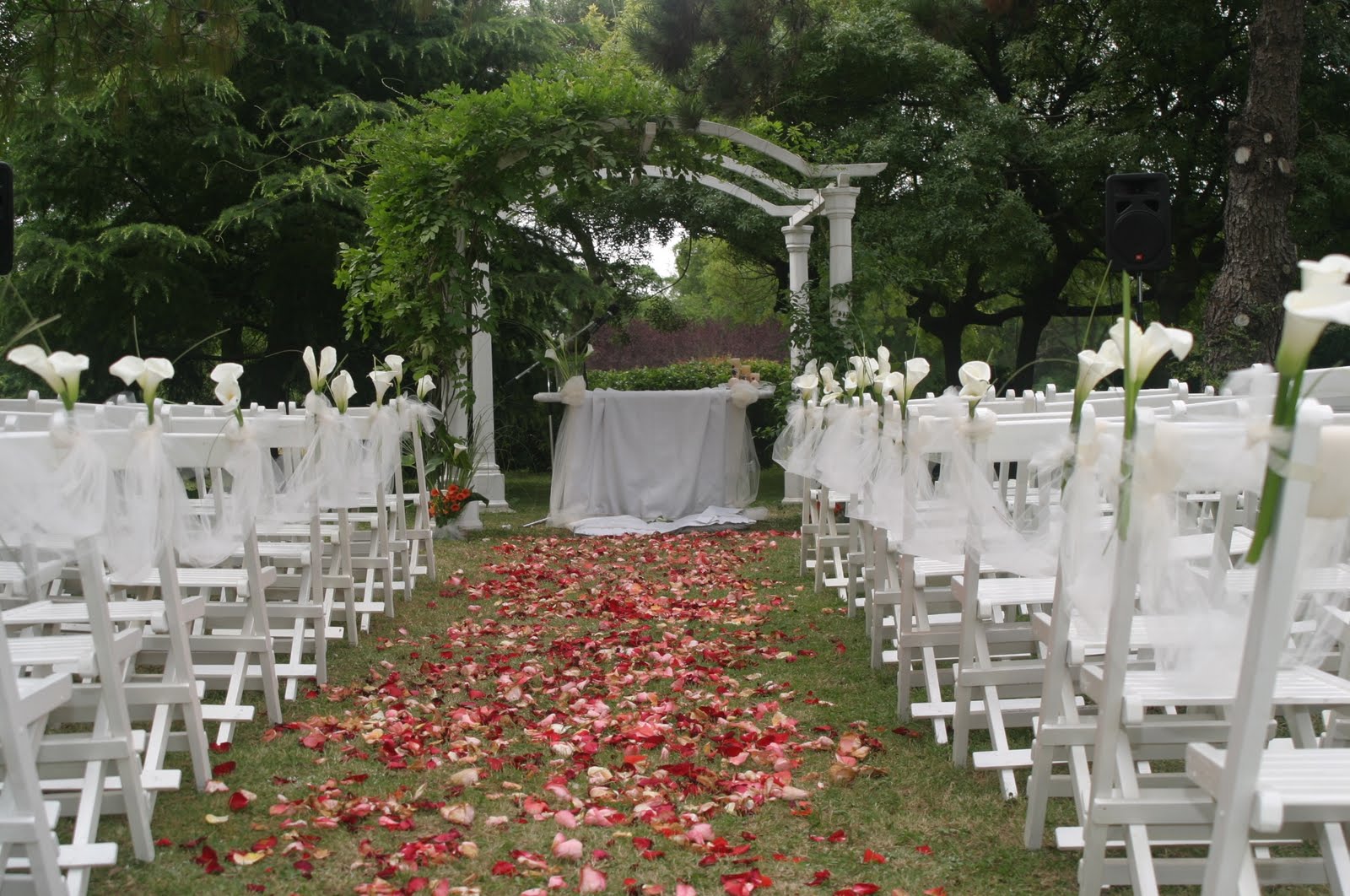EL MIRADOR DEL CARMEN: Ceremonias románticas en la pérgola