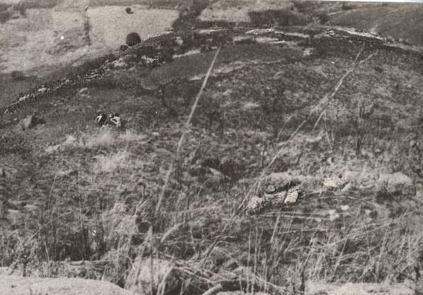 [Pumbala++platÃ´.jpg]