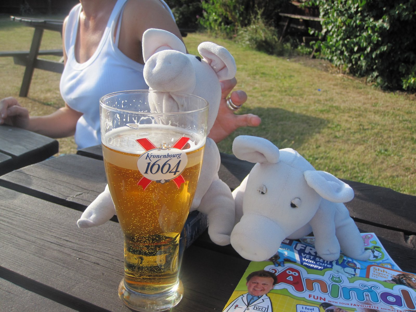 [c2.JPG]