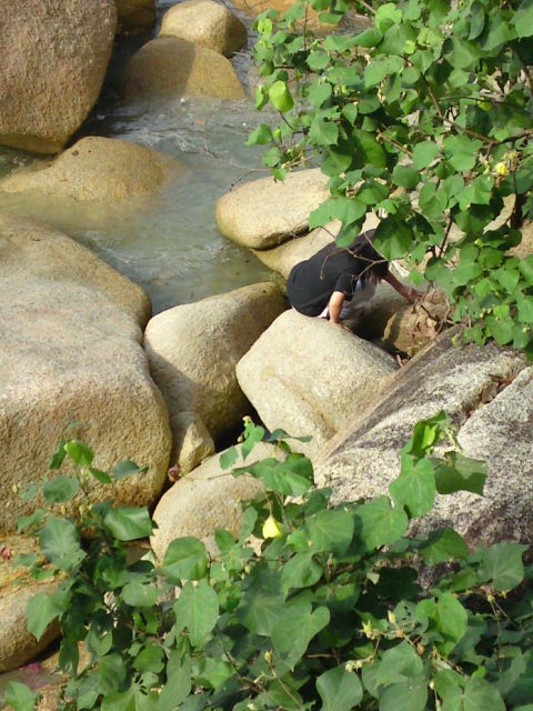 [DSC02040.JPG]