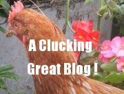 Great Blog Award